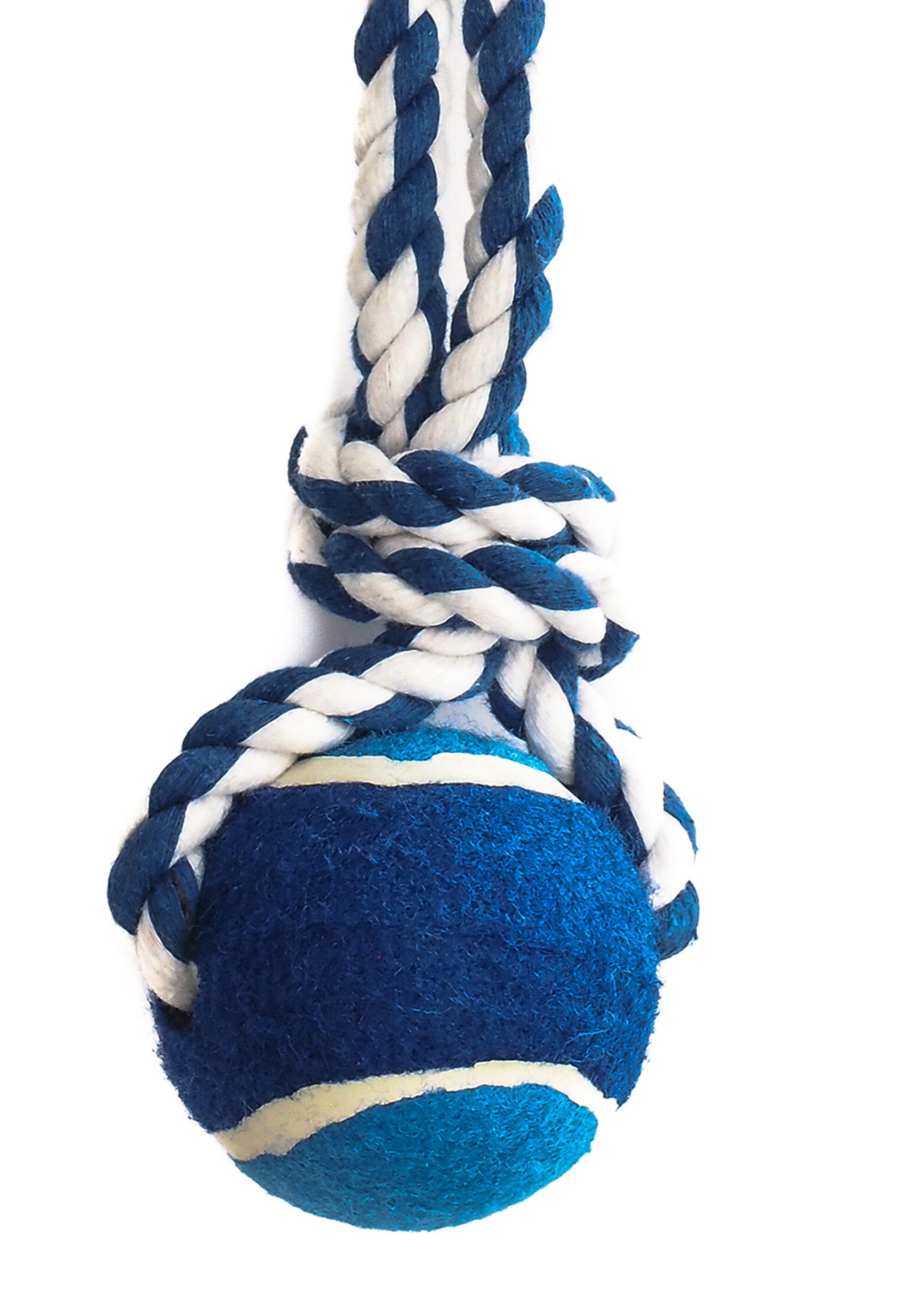 Pelota_de_tenis_de_cuerda_para_perros_Azul_DE1_slim