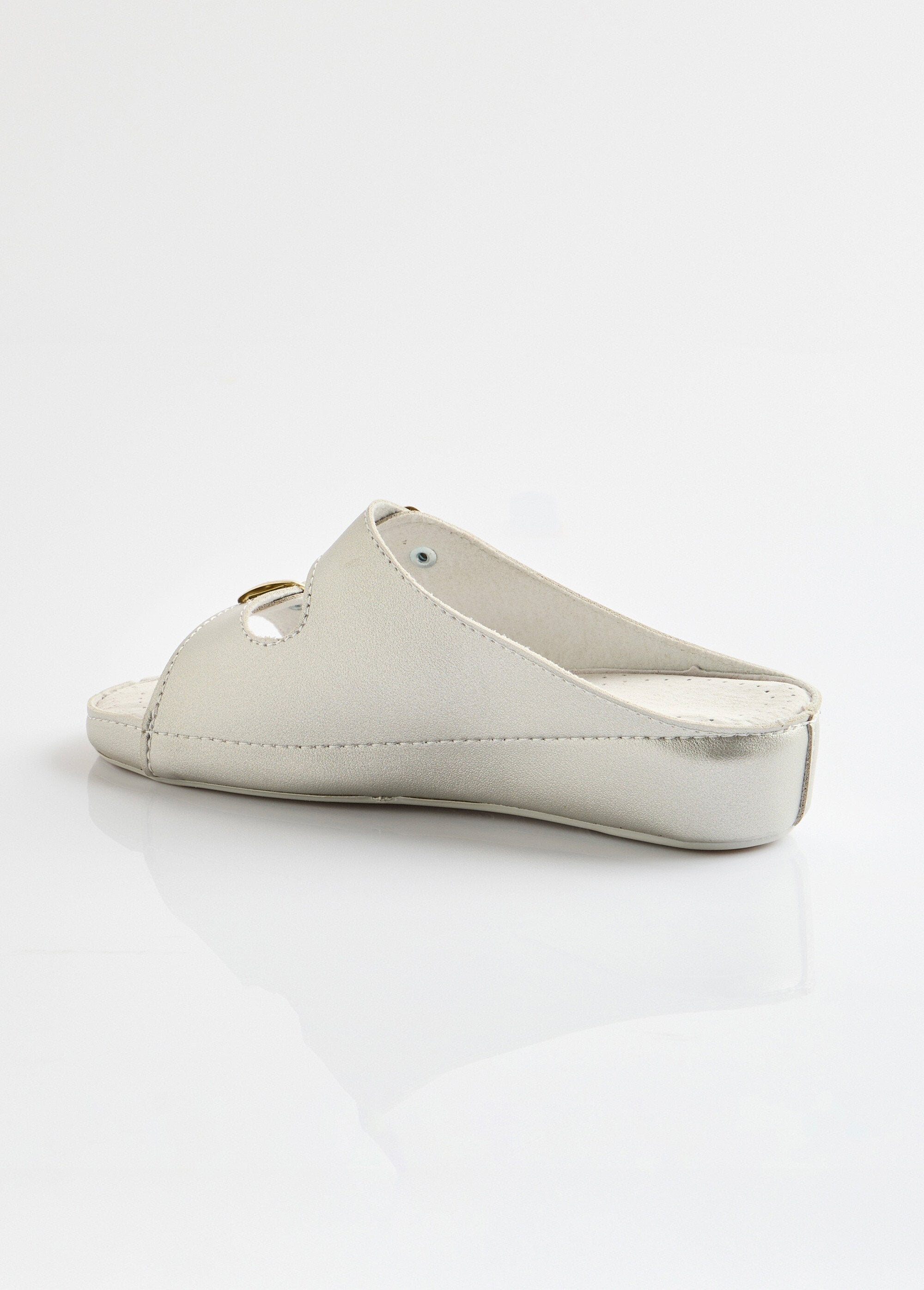 Mules_anchos_y_cómodos_con_hebillas_Plata_DO1_slim