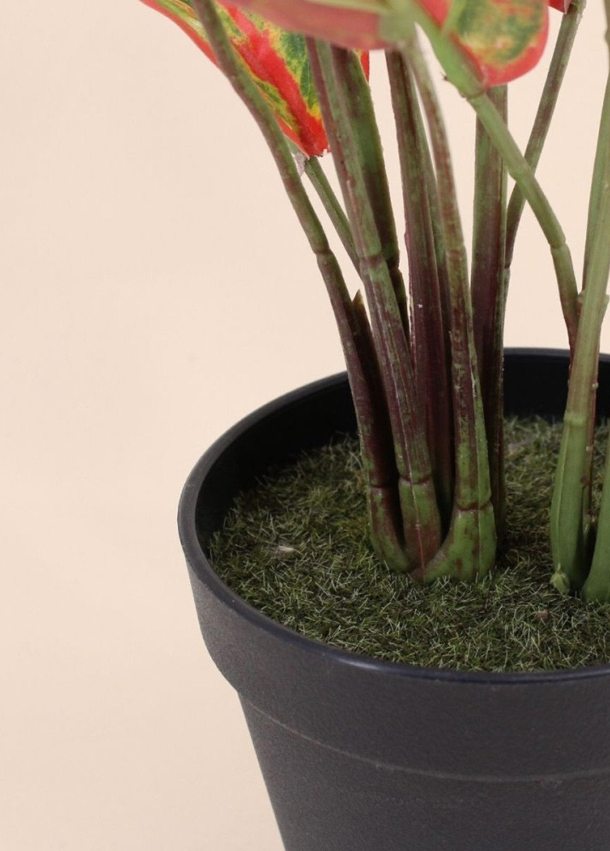 Planta_artificial_Aglaonema_+_maceta_Negro_DE2_slim