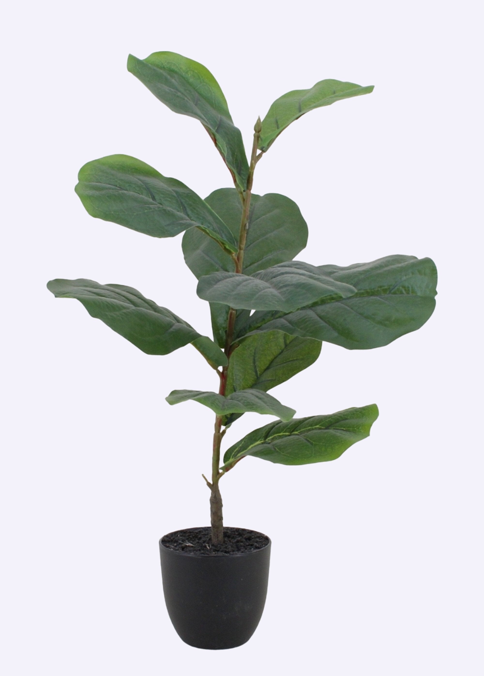 Planta_artificial_de_higuera_de_hoja_de_violín_+_maceta_Negro_FA1_slim